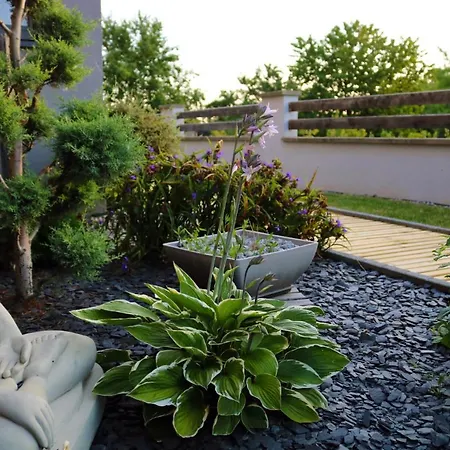 Casa Felicidad 4**** - Le Du Bonheur - Alsace *
