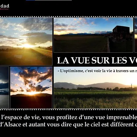 Casa Felicidad 4**** - Le Du Bonheur - Alsace 温格舍姆